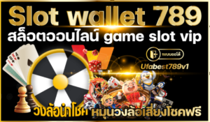 Slot-wallet-789