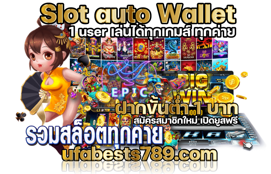 slot-auto-wallet-1-user